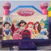 New inflatable princess　castles